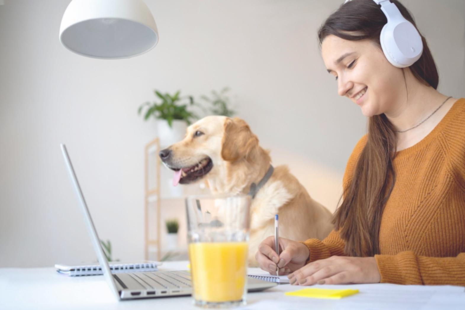 Financial analyst reviewing investment scenarios